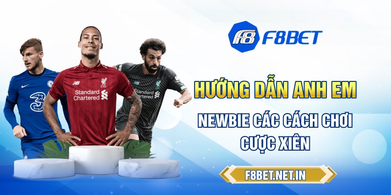 Hướng dẫn anh em newbie các cách chơi cược xiên