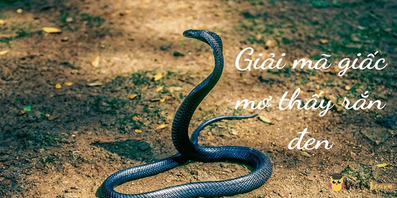 Ngủ mơ thấy rắn đen đánh số gì sẽ còn tùy vào trường hợp chạm trán